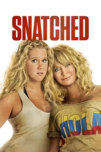 Snatched movie poster - Rated 5.4/10