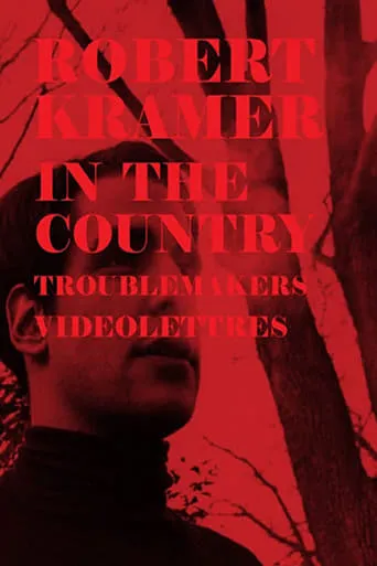 In the Country movie poster - Rated 6/10