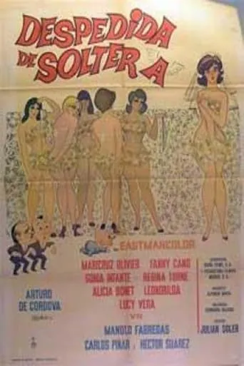 Despedida de soltera movie poster - Rated 5/10