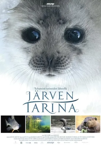 Tale of a Lake movie poster - Rated 7.1/10