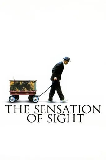 The Sensation of Sight movie poster - Rated 7/10