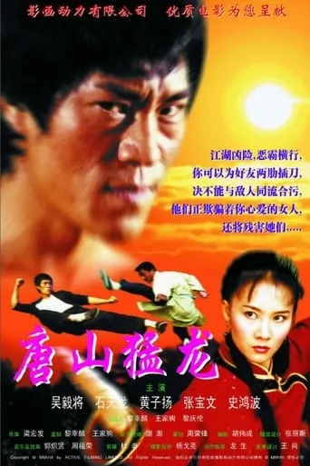 Dragon the Master 2 movie poster - Rated 2/10