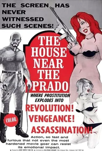 The House Near the Prado movie poster - Rated 2/10