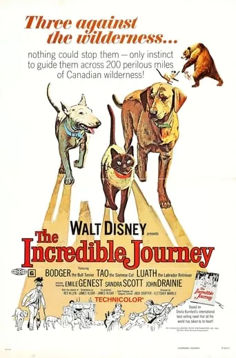 The Incredible Journey movie poster - Rated 6.632/10