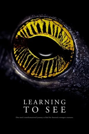 Learning To See movie poster - Rated 7.9/10