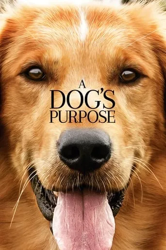 A Dog's Purpose movie poster - Rated 7.637/10