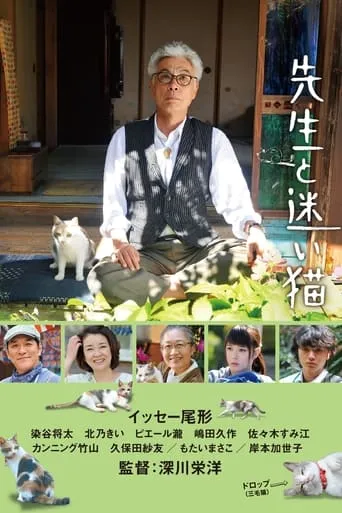 Teacher and Stray Cat movie poster - Rated 6.4/10