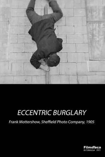 An Eccentric Burglary movie poster - Rated 4/10