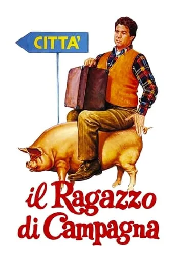 Il ragazzo di campagna movie poster - Rated 6.801/10