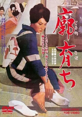 Raised in a Palace movie poster - Rated 6/10