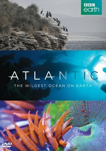 Atlantic: The Wildest Ocean on Earth movie poster - Rated 7.3/10