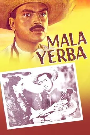 Mala yerba movie poster - Rated 4.5/10