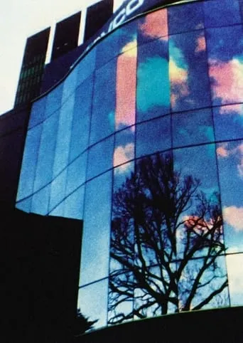 The City of Chromatic Dissolution movie poster - Entertainment content
