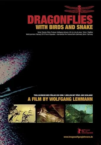 Dragonflies with Birds and Snake movie poster - Entertainment content