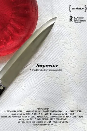 Superior movie poster - Rated 5.6/10