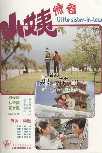 Little Sister-in-law movie poster - Entertainment content