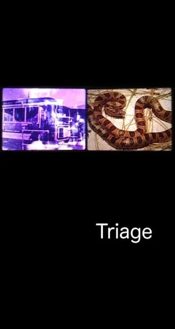 Triage movie poster - Entertainment content