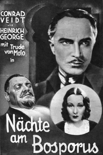 The Man Who Committed the Murder movie poster - Rated 5.2/10