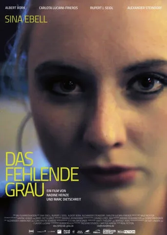 Das fehlende Grau movie poster - Entertainment content