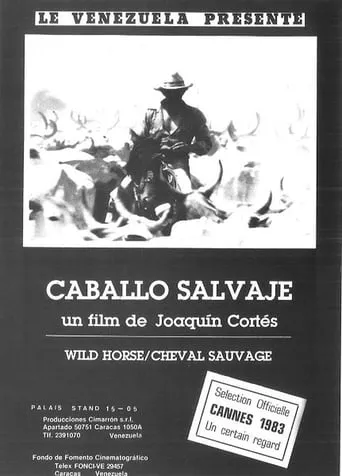 Caballo salvaje movie poster - Entertainment content
