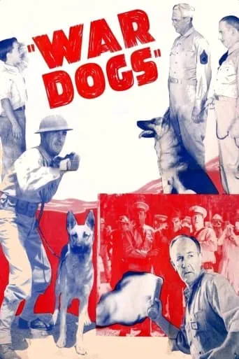 War Dogs movie poster - Rated 4.7/10