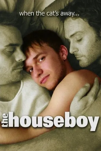 The Houseboy movie poster - Rated 4.7/10