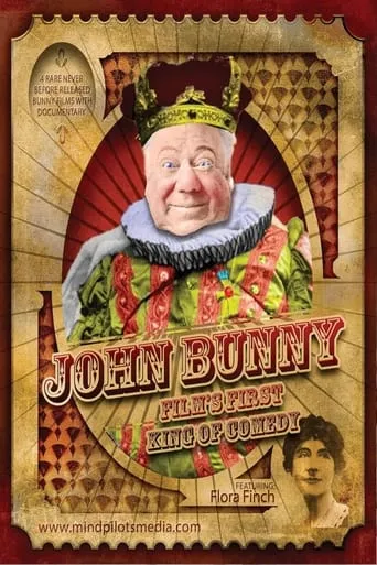 Mr. Bunny in Disguise movie poster - Rated 5/10