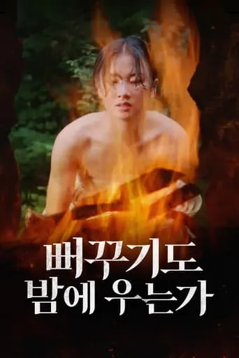 Shall Cuckoo Sing at Night movie poster - Rated 7.3/10