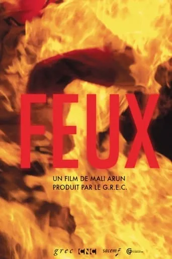 Feux movie poster - Entertainment content