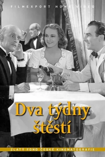 Dva týdny štěstí movie poster - Rated 7/10