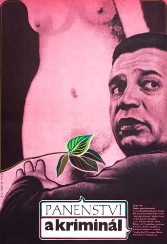 Panenství a kriminál movie poster - Rated 9/10