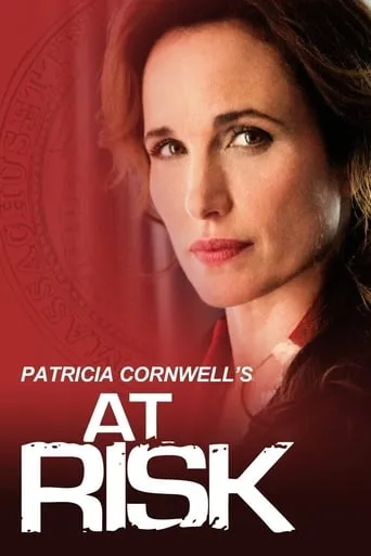 At Risk movie poster - Rated 4.5/10
