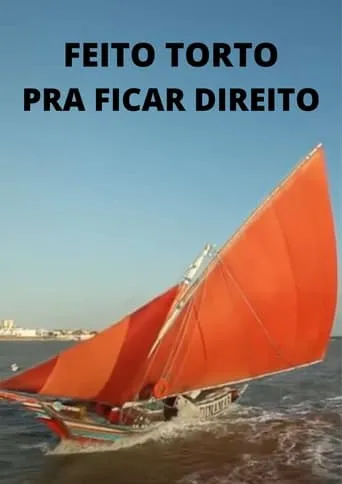 Feito Torto pra Ficar Direito movie poster - Rated 10/10