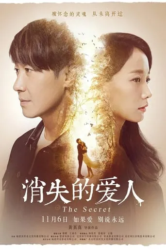 The Secret movie poster - Rated 8/10