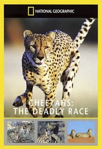 Cheetahs: The Deadly Race movie poster - Entertainment content