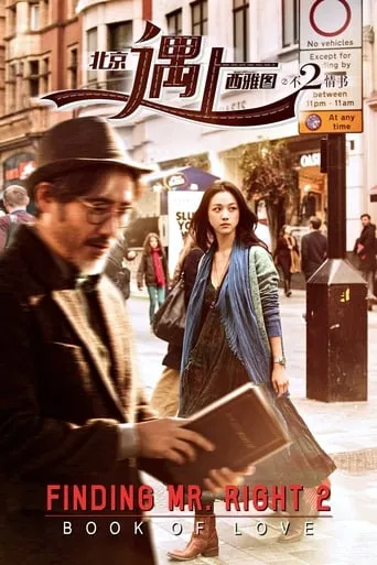 Finding Mr. Right 2 movie poster - Rated 5.9/10
