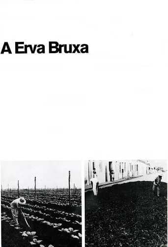 A Erva Bruxa movie poster - Entertainment content