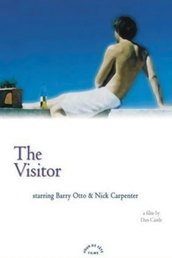 The Visitor movie poster - Rated 5.1/10