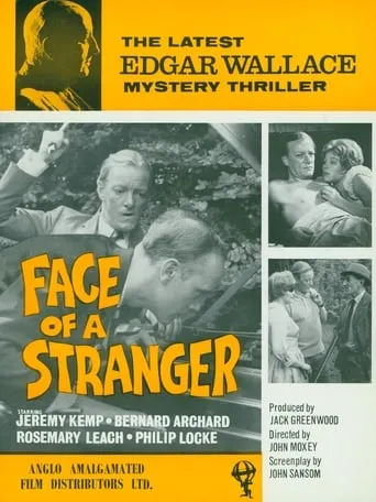 Face of a Stranger movie poster - Rated 8/10
