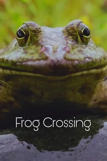 Frog Crossing movie poster - Entertainment content