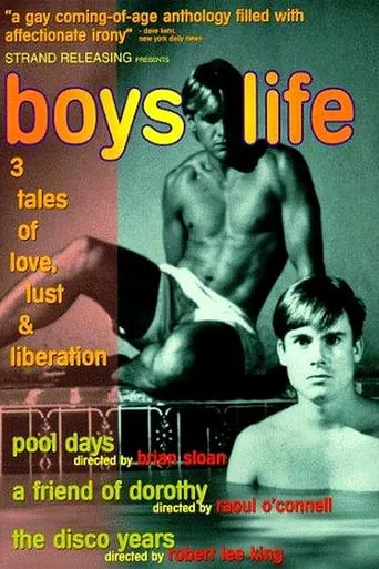Boys Life movie poster - Rated 4.8/10