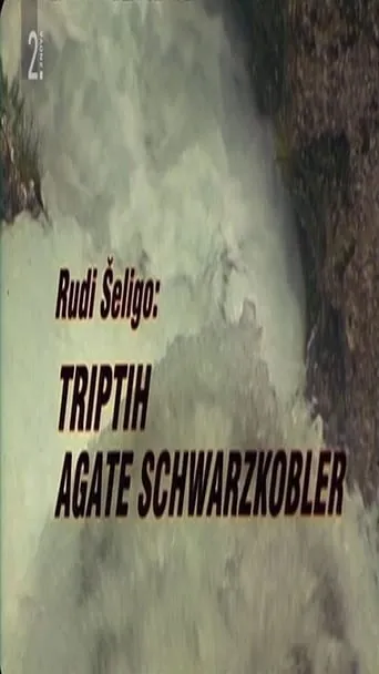Triptych of Agata Schwarzkobler movie poster - Entertainment content