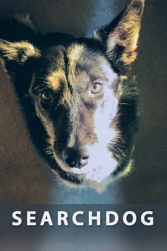 Searchdog movie poster - Entertainment content