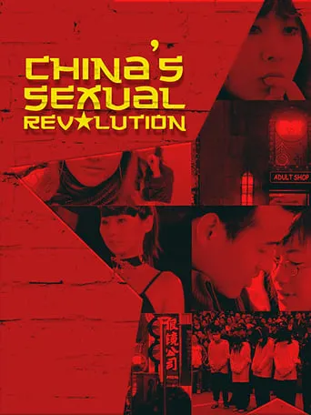 China's Sexual Revolution movie poster - Rated 1/10