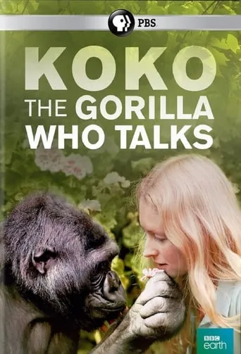 Koko: The Gorilla Who Talks to People movie poster - Rated 7.6/10