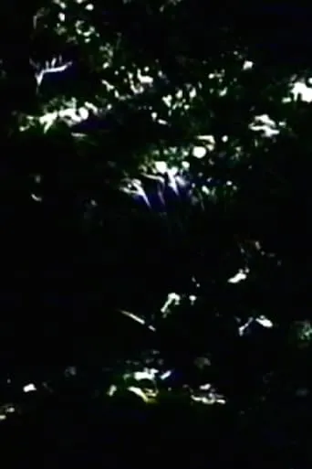 The Darkening movie poster - Entertainment content