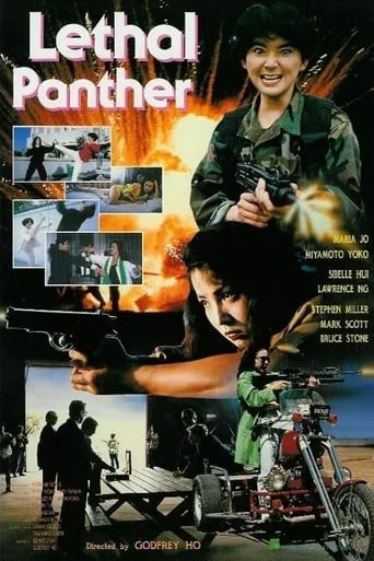Lethal Panther movie poster - Rated 6/10
