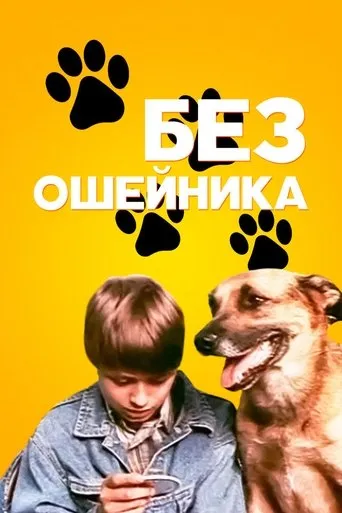 Without a Collar movie poster - Entertainment content