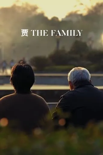 The Family movie poster - Rated 8.2/10