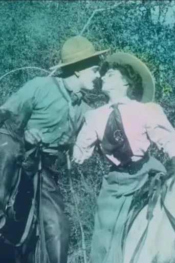 The Cowboy and the Schoolmarm movie poster - Rated 4/10